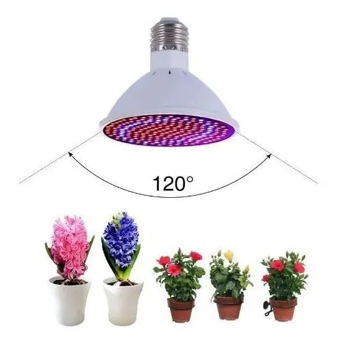 Lámpara Para Cultivo De Plantas