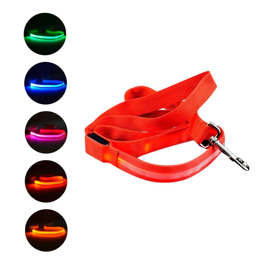 Correa para perro con luz LED