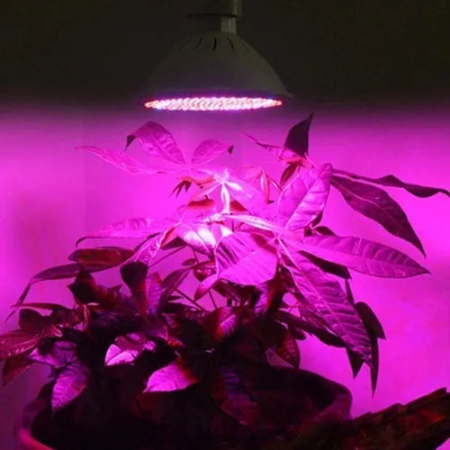 Lámpara Para Cultivo De Plantas