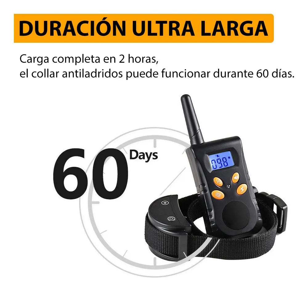 Collar de Adiestramiento