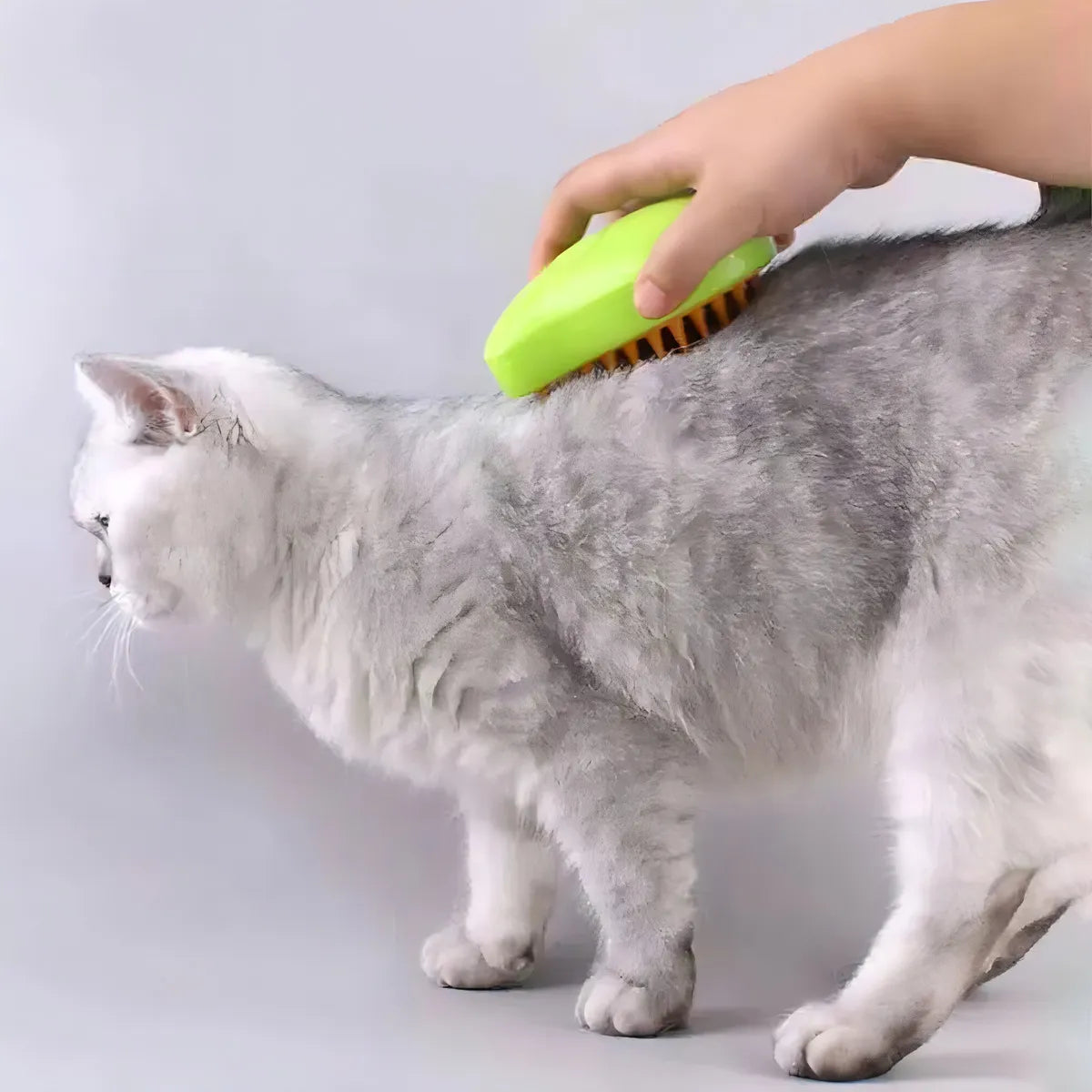Peine Cepillo A Vapor Para Mascotas
