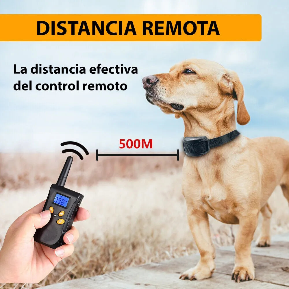 Collar de Adiestramiento