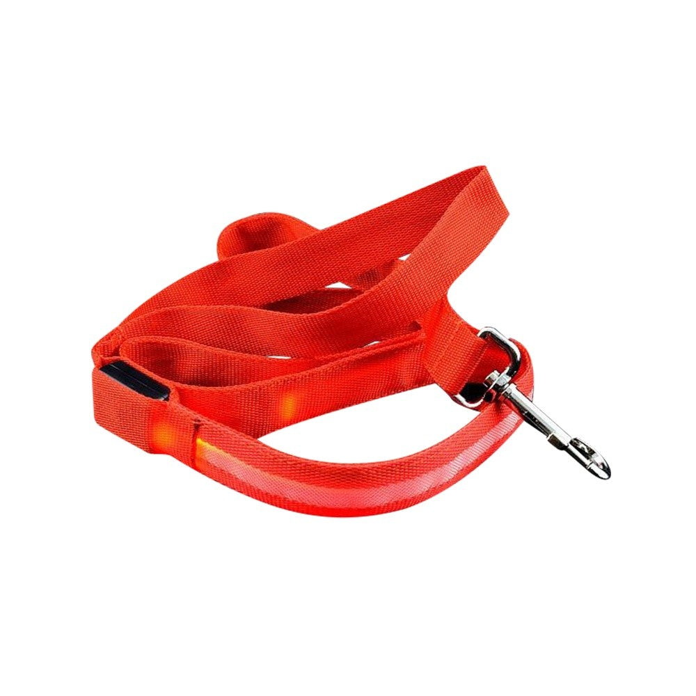 Correa para perro con luz LED