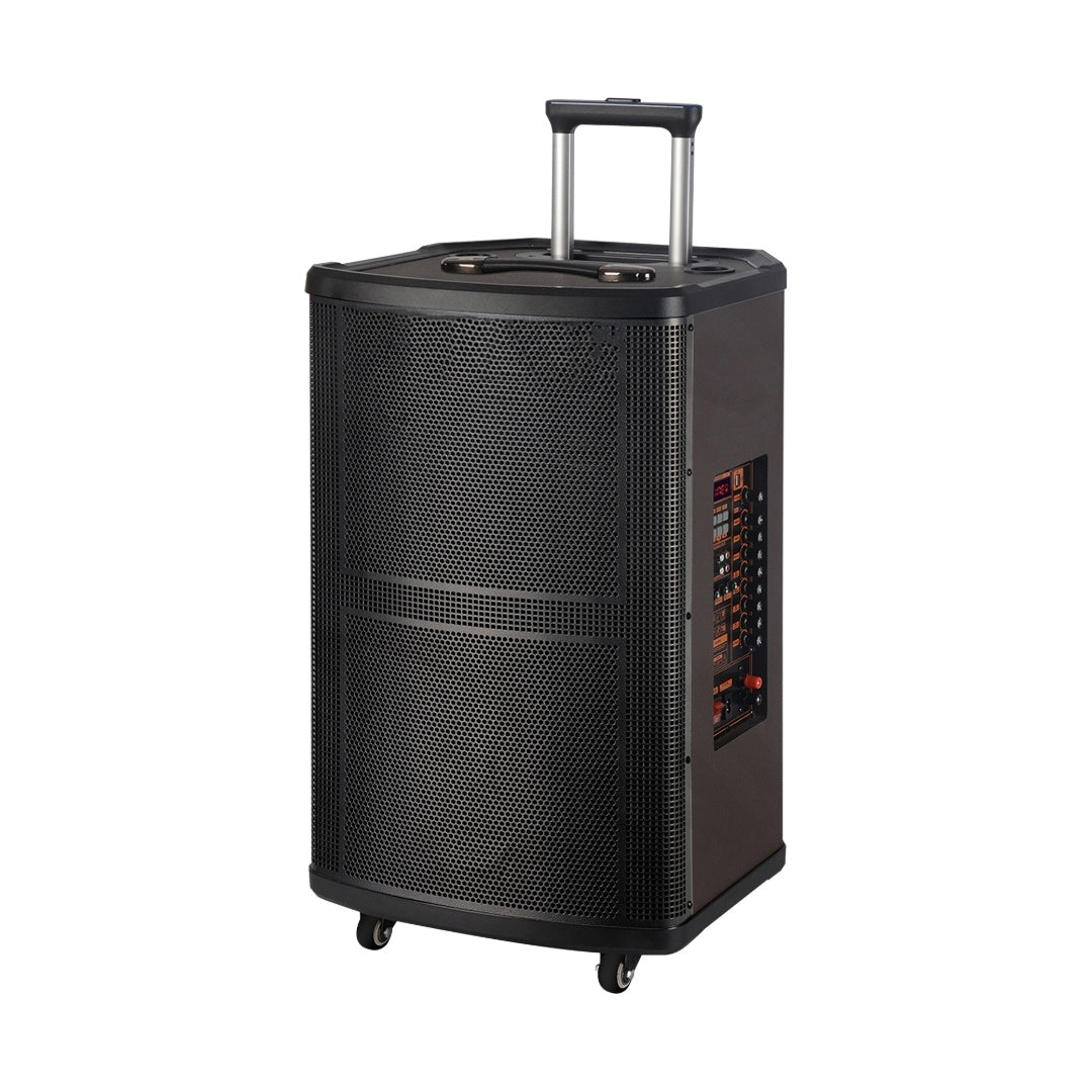 Caja activa 12 pulgadas con 2 micrófonos inalámbricos