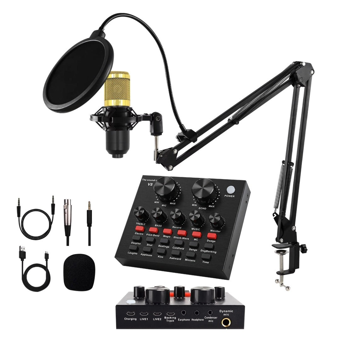 Kit de streaming micrófono BM800 con interfaz V8